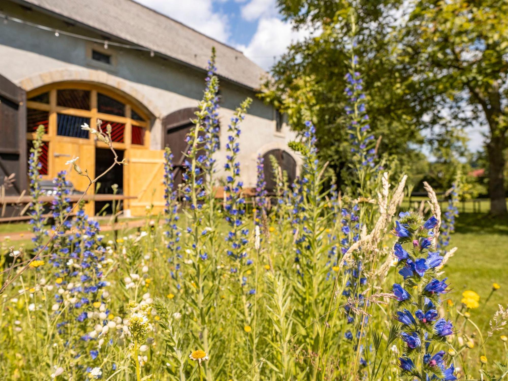 Hinterland Hostel Ратен Екстер'єр фото